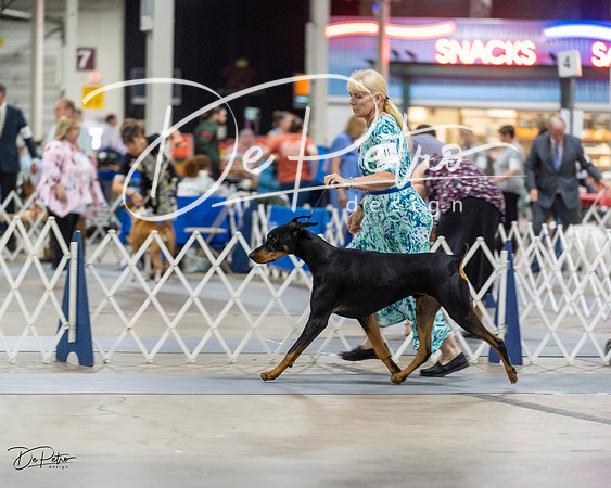 20230826-DSC05014