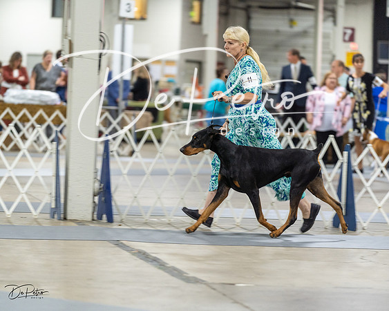 20230826-DSC05021