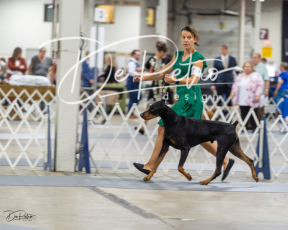 20230826-DSC05027