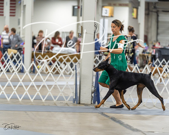 20230826-DSC05029