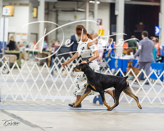 20230826-DSC05034