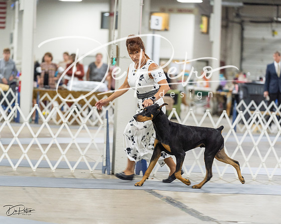 20230826-DSC05039