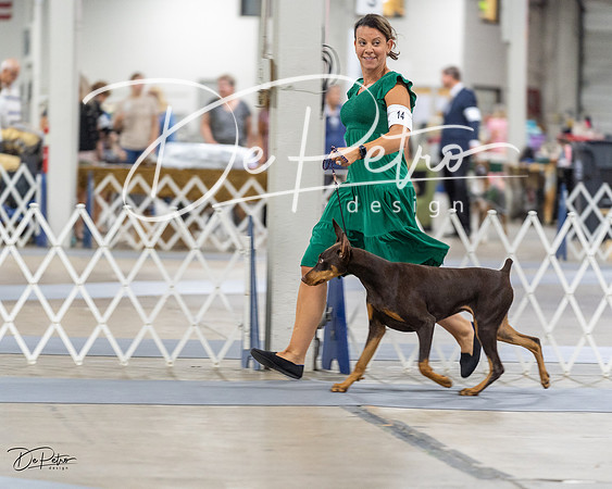 20230826-DSC05047