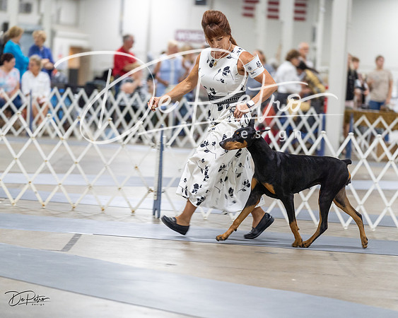 20230826-DSC05065