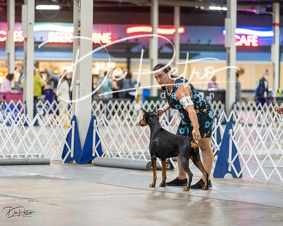 20230826-DSC05115