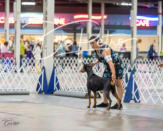 20230826-DSC05116