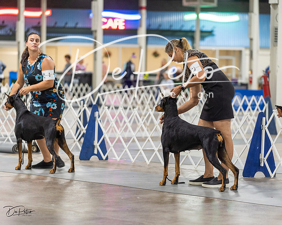 20230826-DSC05118