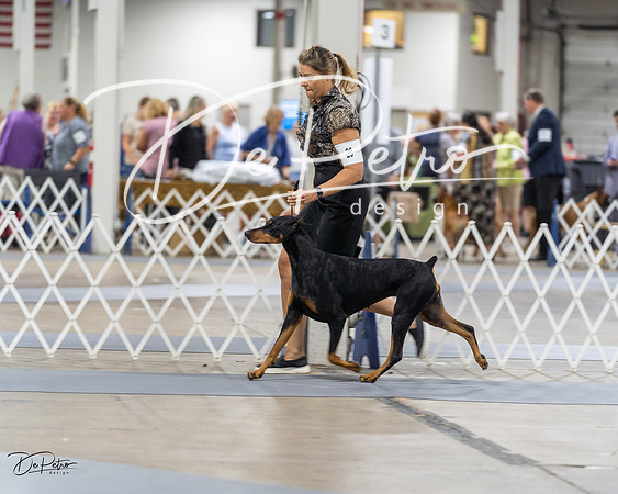 20230826-DSC05216