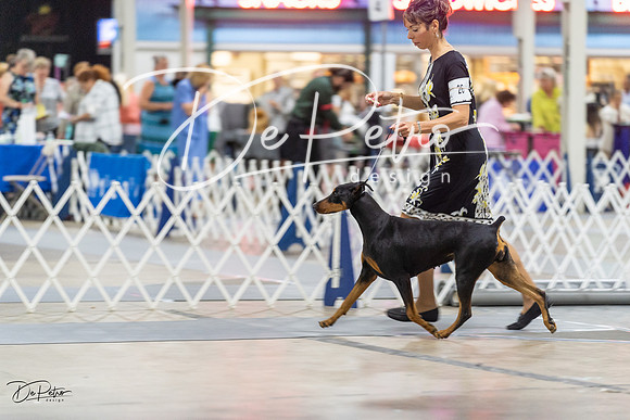 20230826-DSC05270