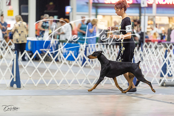 20230826-DSC05272
