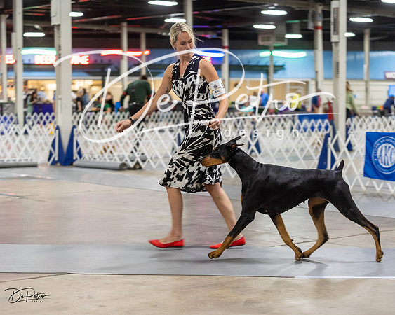 20230826-DSC05319