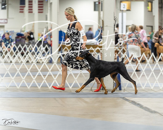 20230826-DSC05341