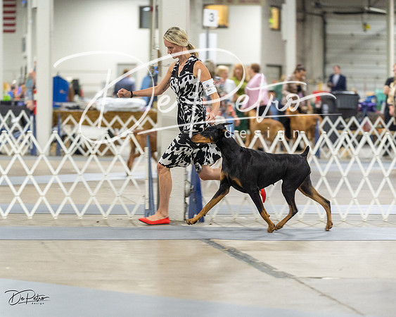20230826-DSC05339