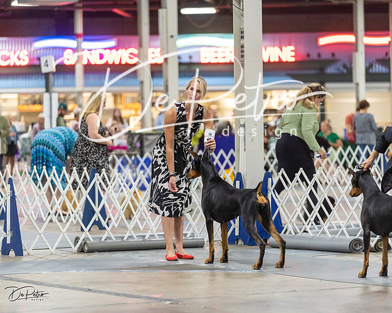 20230826-DSC05349