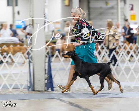 20230826-DSC05372