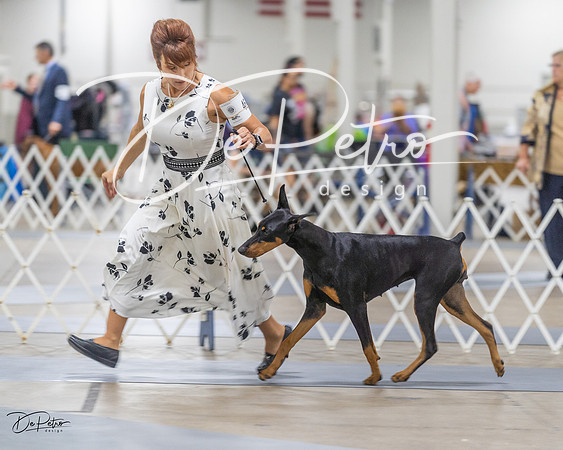 20230826-DSC05395