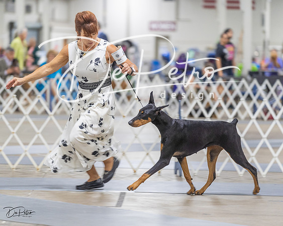20230826-DSC05397
