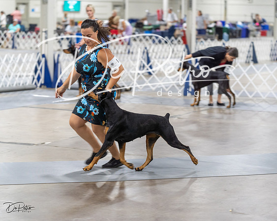 20230826-DSC05424