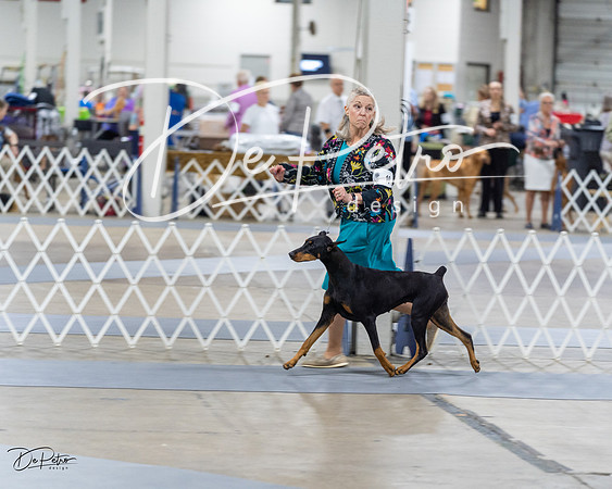 20230826-DSC05452