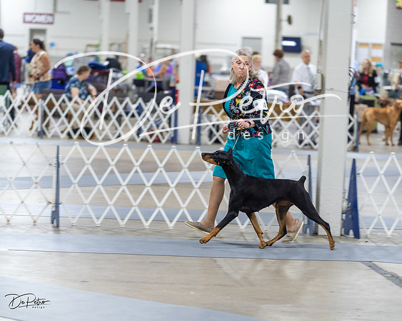 20230826-DSC05454