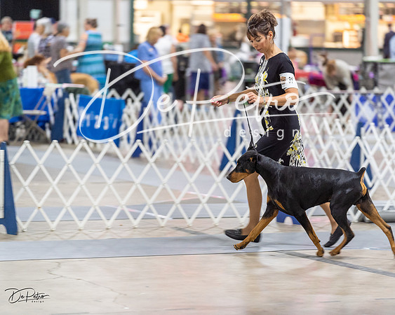 20230826-DSC05532