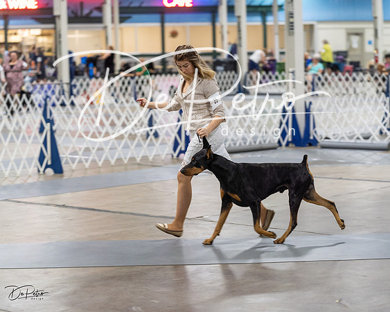 20230826-DSC05563