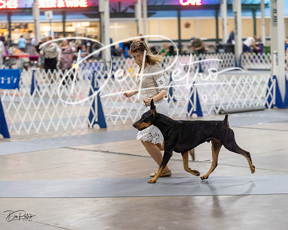 20230826-DSC05565