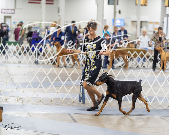 20230826-DSC05635