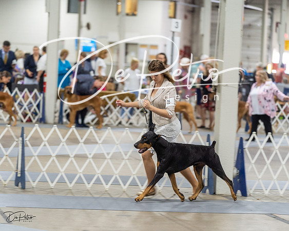 20230826-DSC05644