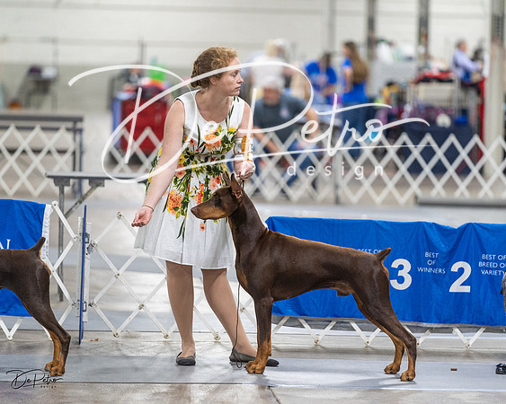 20230826-DSC05680