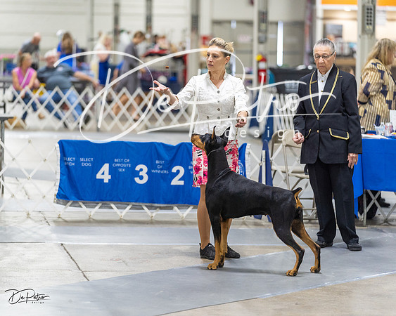 20230826-DSC05726