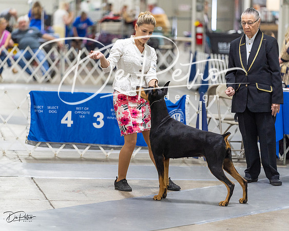 20230826-DSC05729