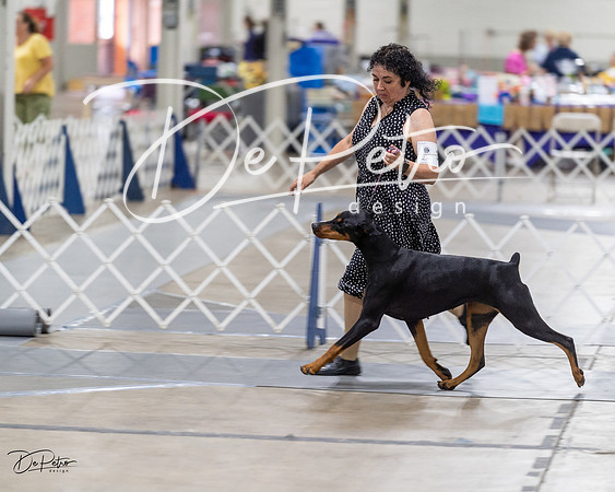20230826-DSC05760