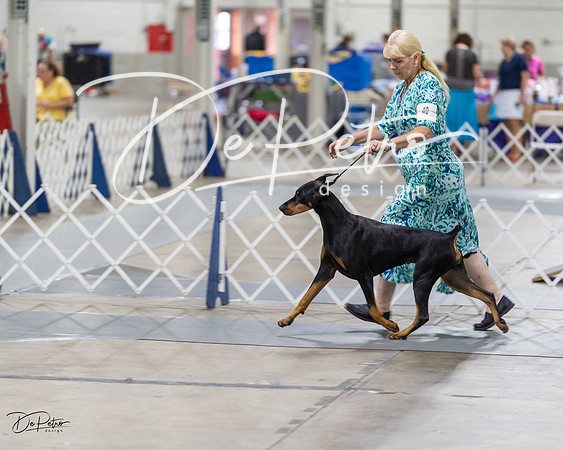 20230826-DSC05775