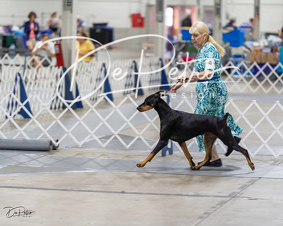 20230826-DSC05777