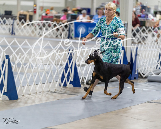 20230826-DSC05788