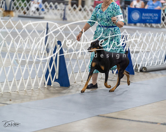 20230826-DSC05792