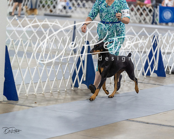 20230826-DSC05794