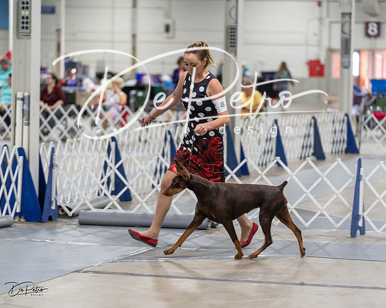 20230826-DSC05814