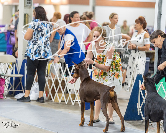 20230826-DSC05819