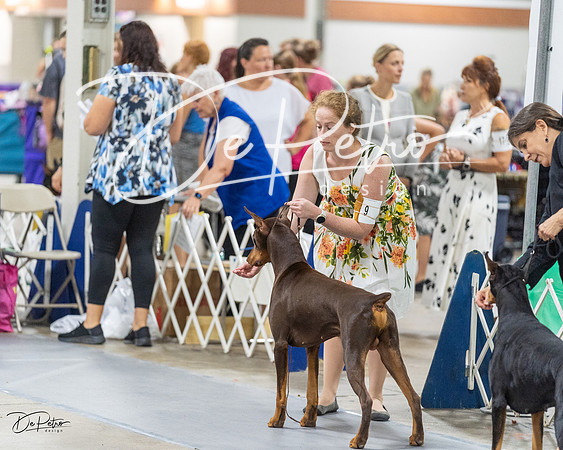 20230826-DSC05820