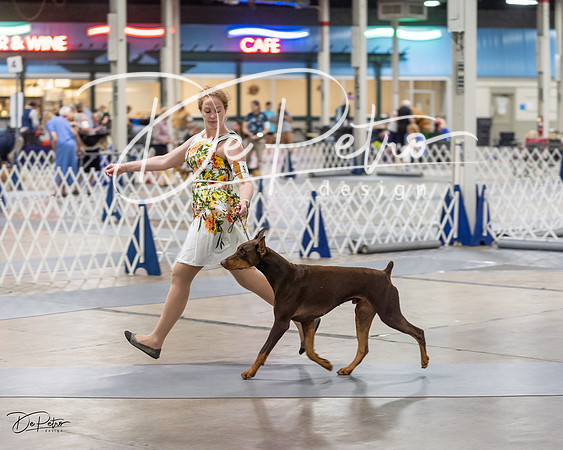 20230826-DSC05836