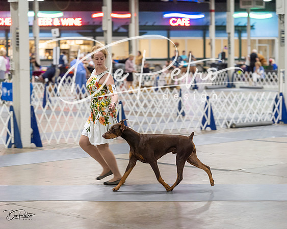20230826-DSC05838