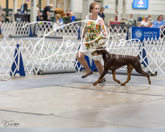 20230826-DSC05846