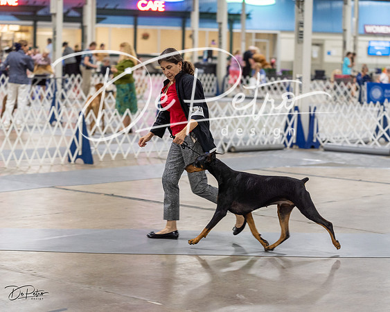 20230826-DSC05861