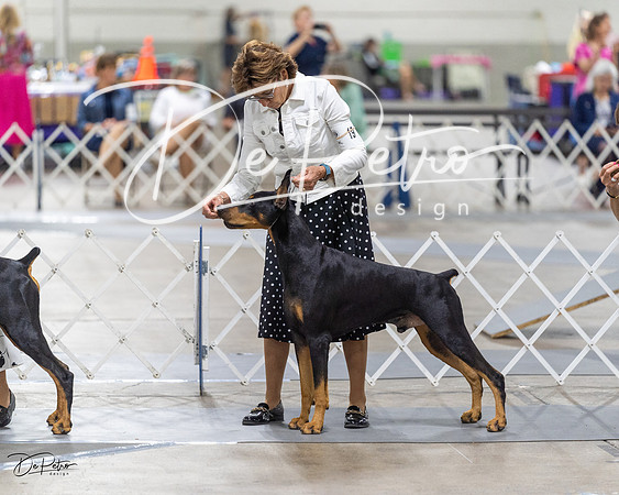 20230826-DSC05879