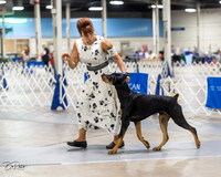 20230826-DSC04806