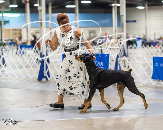 20230826-DSC04806