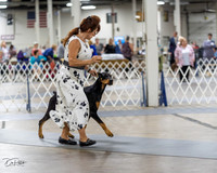 20230826-DSC04809