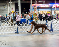 20230826-DSC04814